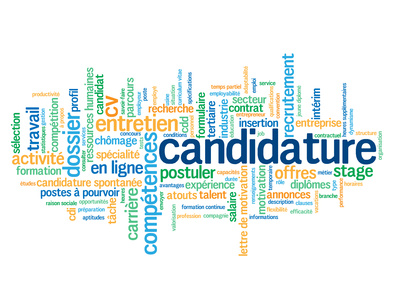 779.candidature